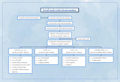 โครงสร้างองค์กร
