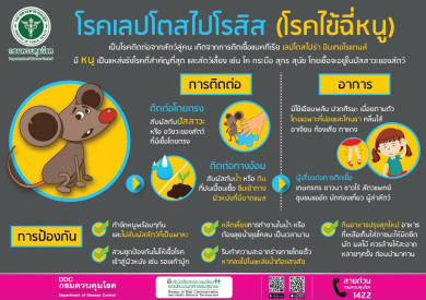 โรคไข้ฉี่หนู (เลปโตสไปโรซิส)