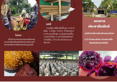 ประชาสัมพันธ์แผ่นพับภูมิปัญญาท้องถิ่น อบต.มะนังยง